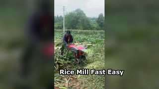 도마 절단기 기계